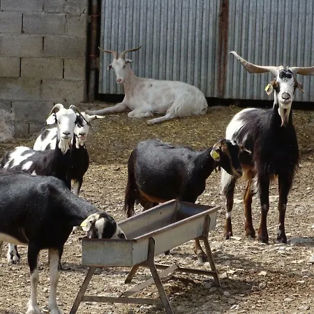 Casa Alaya Apartment Bailo